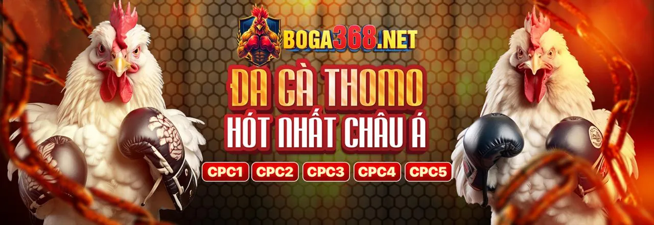 Đá Gà Trực Tuyến mm8 win